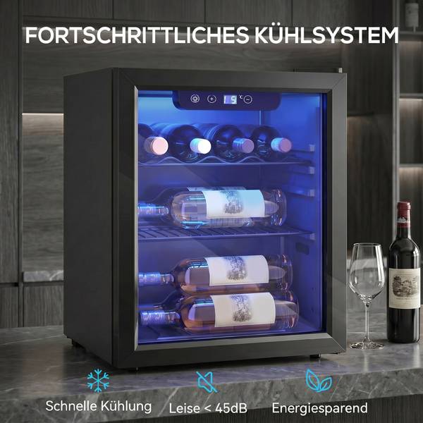 Weinkühlschrank 800-325V91BK Schwarz - Metall - 42 x 58 x 43 cm