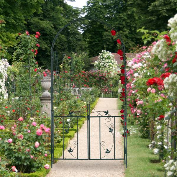 Arche de rosiers avec porte Vert - Fer - 114 x 230 x 37 cm
