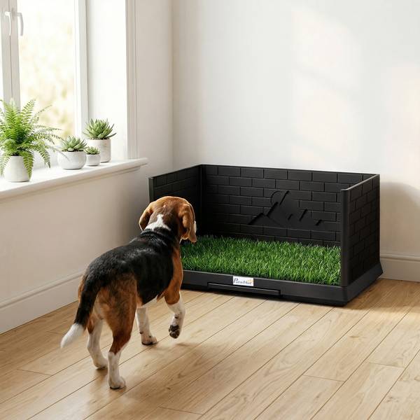 Hundetoilette D07-070V00BK Schwarz - Kunststoff - 51 x 37 x 75 cm
