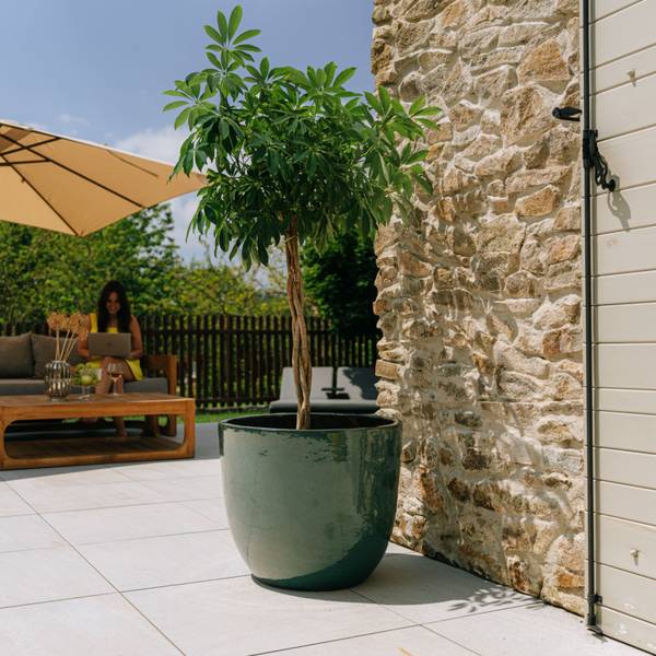 Blumentopf Lancelot 47 x 41 x 47 cm