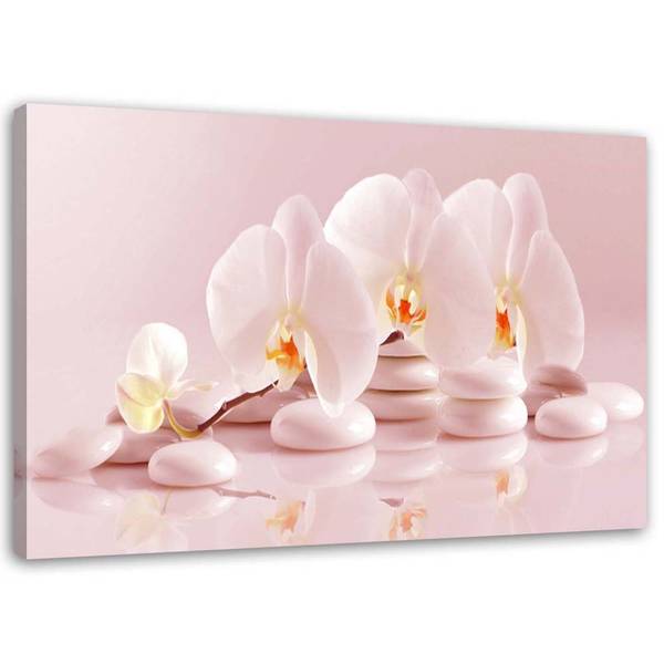 Wandbild orchideen zen in puderrosa 120 x 80 cm