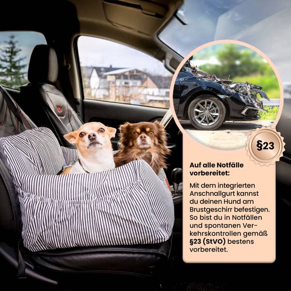 Hunde Autositz Premium Braun - 60 x 55 cm