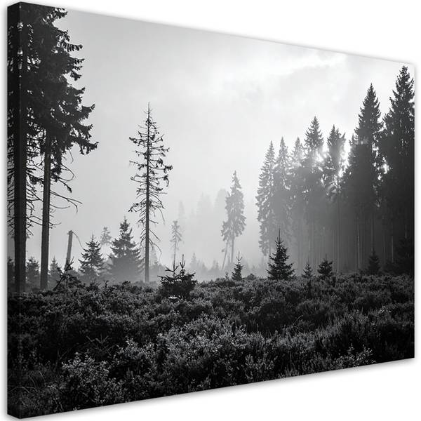 Canvas schilderij Natuur 60 x 40 cm