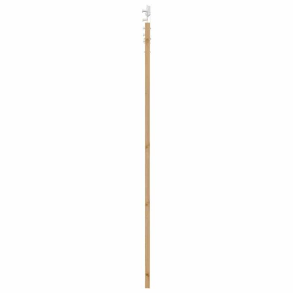 Innentür 3045039-2 93 x 211 cm