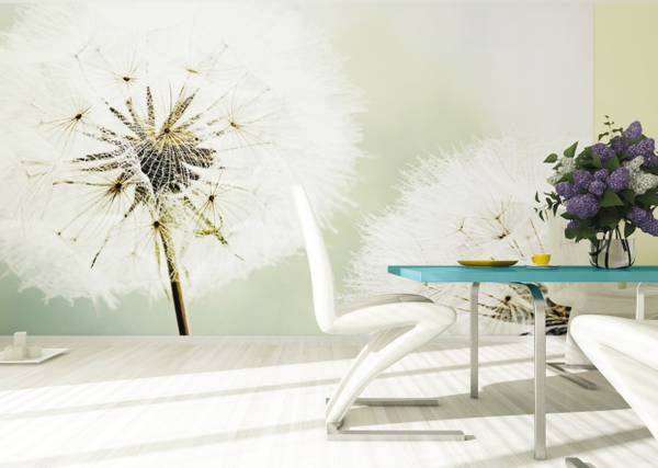 papier peint panoramique fleurs Blanc - Polaire - 360 x 270 x 270 cm