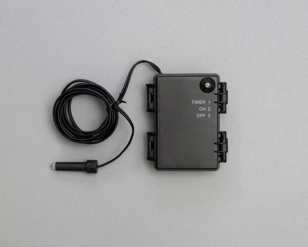 Dekostern, Weihnachtsstern Rot