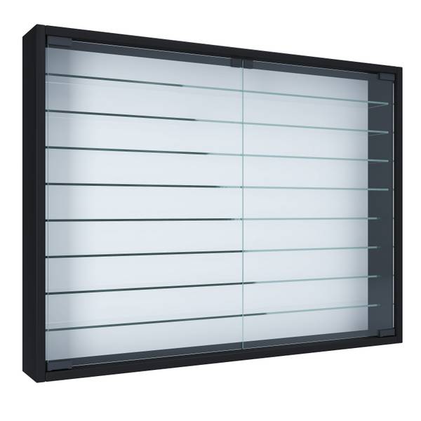 Wandvitrine Mandosa Schwarz - Hochglanz Schwarz