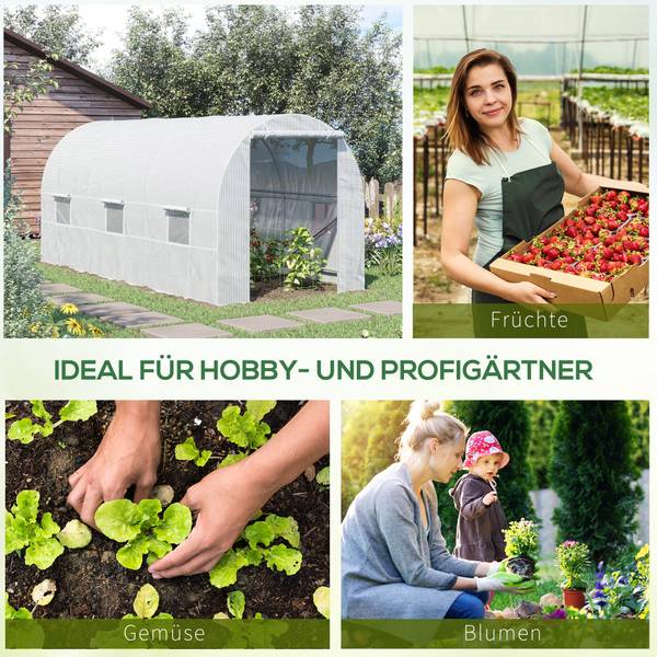 Gewächshaus 845-073 Tiefe: 445 cm