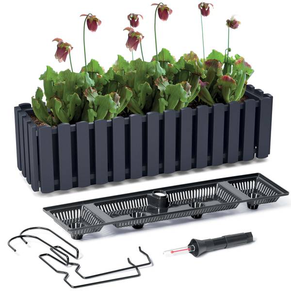 Blumentopf EDANTI Grau - Polypropylen - 58 x 17 x 18 cm