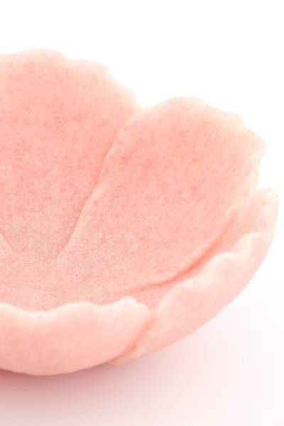 Dekorationsschale FRESIA Pink - Kunststoff - 24 x 10 x 26 cm