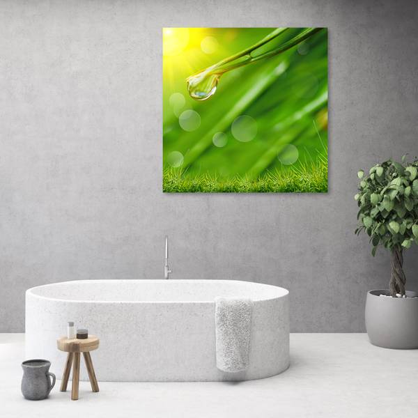 Tableau déco rosée sur l'herbe plantes 40 x 40 cm