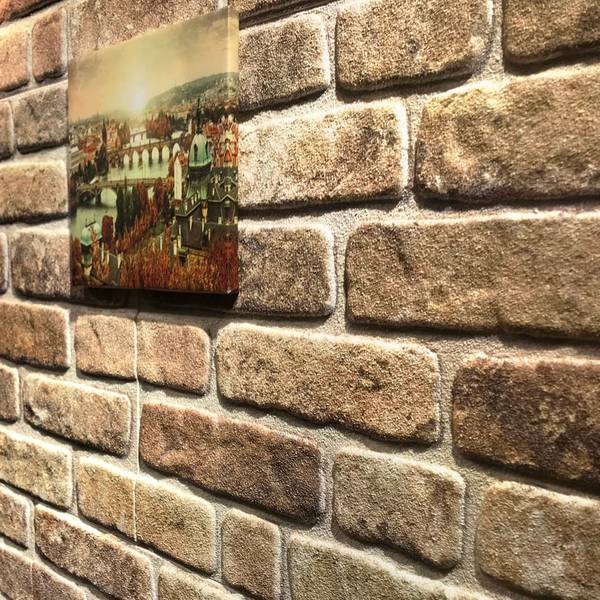 Wandpaneel 332926 (10er Set) Beige - Kunststoff - 50 x 1 x 100 cm