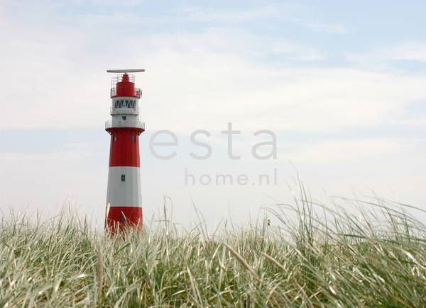 Fototapete 156432 Fleece - 372 x 270 x 270 cm