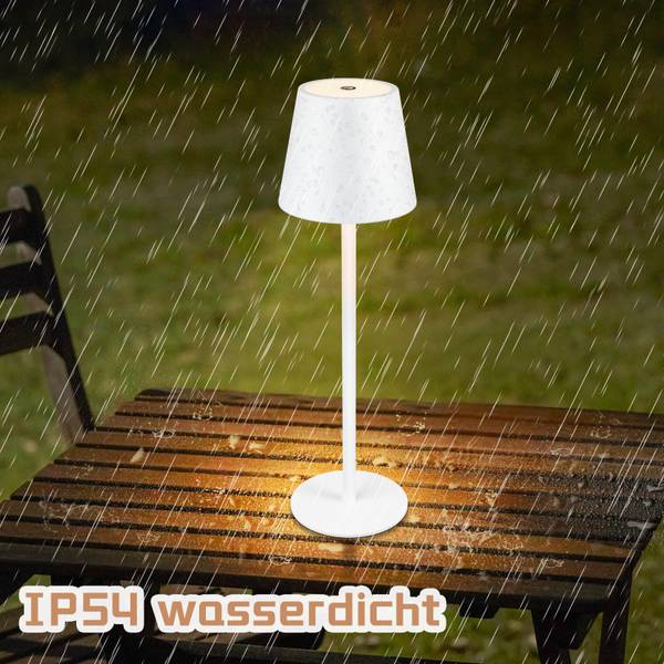 Lampe de table LED Regensburg Blanc