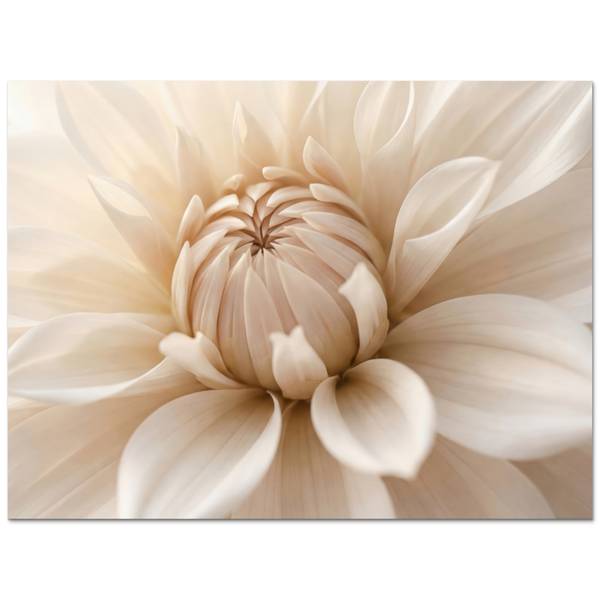 SPRITZSCHUTZ KÜCHE Blume 80 x 60 cm