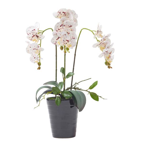 Künstliche Orchidee Lifelike Weiß - Polyester - 22 x 56 x 56 cm