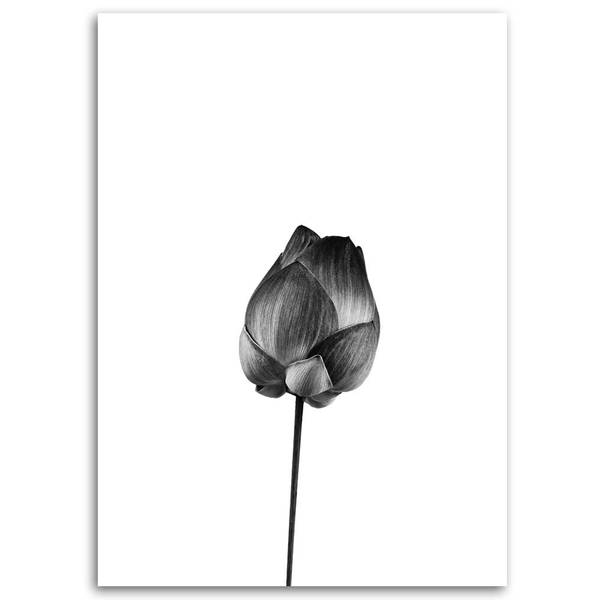 Wandbild Blumen Schwarz - Polyester - 20 x 30 x 3 cm