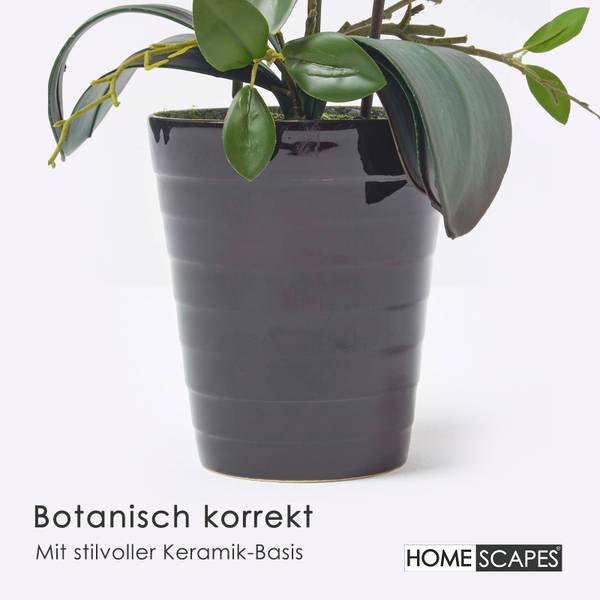 Künstliche Orchidee Lifelike Weiß - Polyester - 22 x 56 x 56 cm