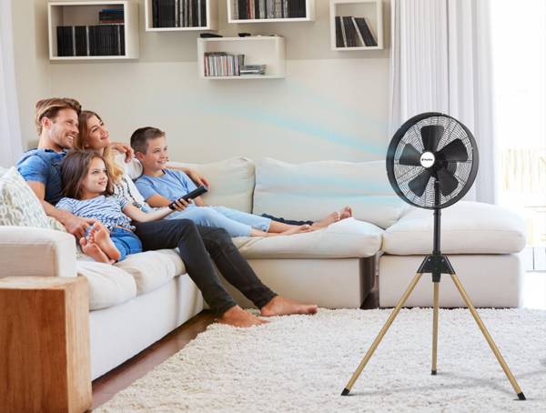 Ventilator VENTY PEGASUS Schwarz - Kunststoff - 83 x 135 x 70 cm