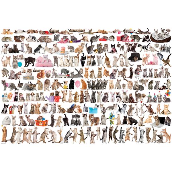 Puzzle Welt der Katzen Papier - 26 x 7 x 36 cm