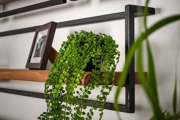 Wandregal ERGEA Braun - Massivholz - 40 x 30 x 25 cm
