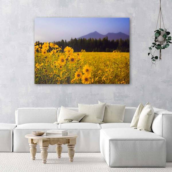 Canvas schilderij veldbloemen 90 x 60 cm