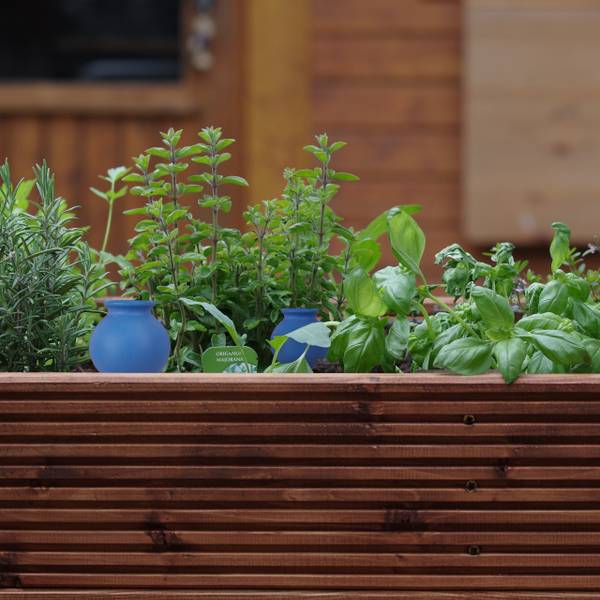 Waterdruppelaar planten set van 4 blauw - bruin - keramiek - 6 x 12 x 6 cm