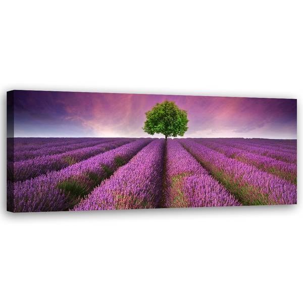 Tableau déco champ de lavande 120 x 40 cm