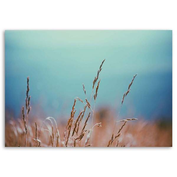 Wandbild grashalme 120 x 80 cm