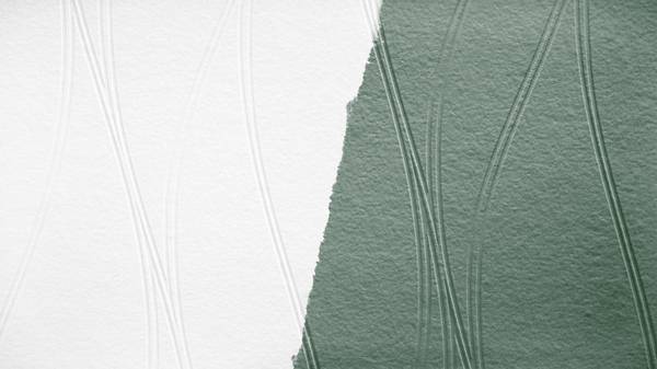 Vliestapete 4771 überstreichbar Design Weiß - Fleece - 53 x 1005 x 1 cm