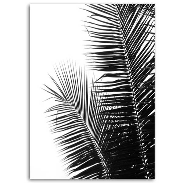 Wandbild palmenblätter 80 x 120 cm