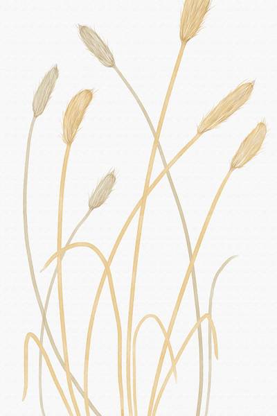 Tableau scandi blés 2 80 x 120 x 1 cm - Métal