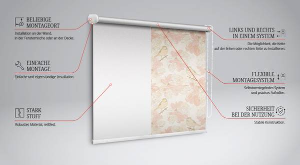 Rollo ORNIS 60 x 140 cm