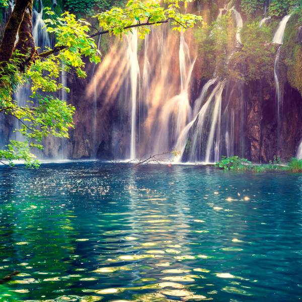 Fototapete WASSERFALL Pflanzen Natur 3D 400 x 280 x 280 cm