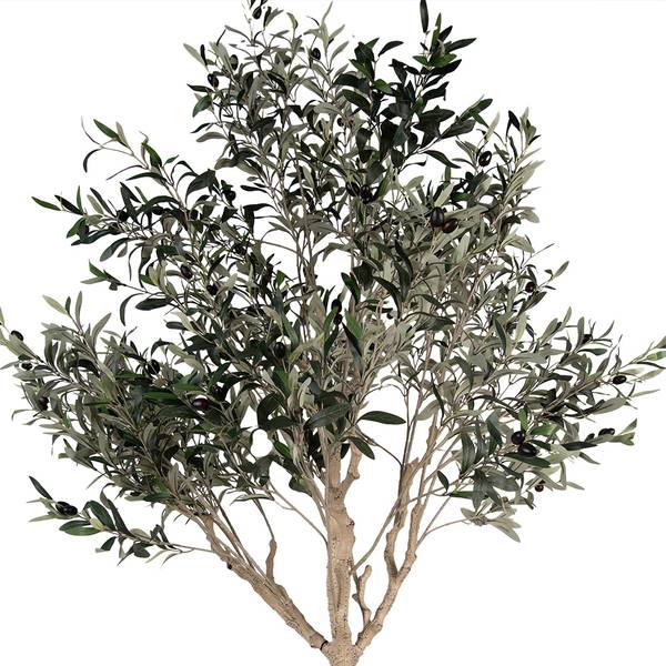 Künstlicher Olivenbaum NATURAL COSY Grün - Kunststoff - 80 x 240 x 120 cm