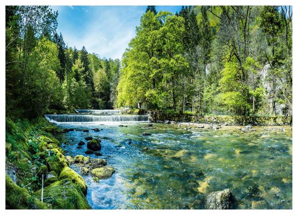 Vlies Fototapete Wasserfall Wald 3D 250 x 175 cm
