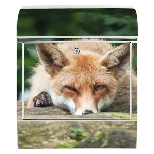 Briefkasten Stahl Fuchs Relax Weiß - Stahl - 38 x 46 x 13 cm