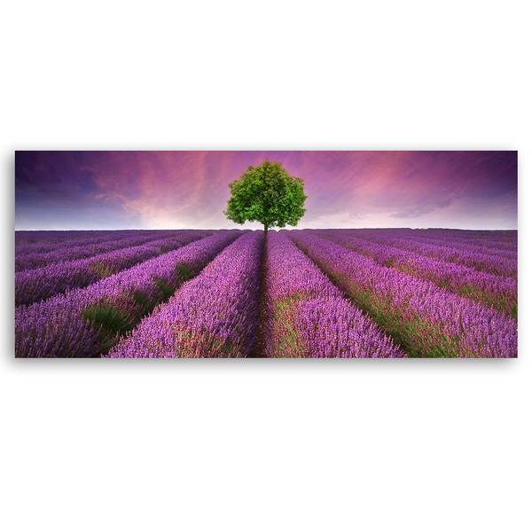 Tableau déco champ de lavande 120 x 40 cm