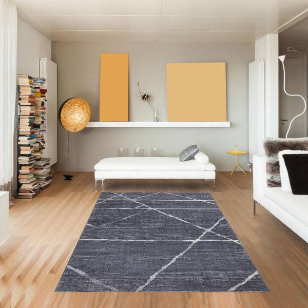 Tapis salon LUXURY 80x150 gris Gris - Matière plastique - 80 x 2 x 150 cm