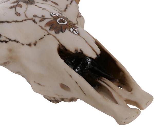 Deko Schädel Q11 Beige - Polyresin - 41 x 43 x 12 cm