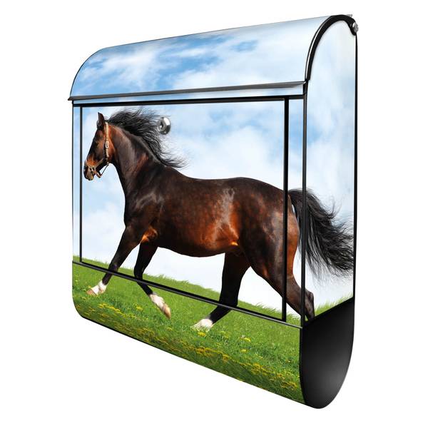 Briefkasten Stahl Pferd Schwarz - Stahl - 38 x 46 x 13 cm