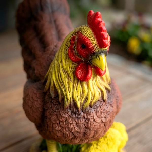 Tuinfiguur kip 9 x 24 x 22 cm