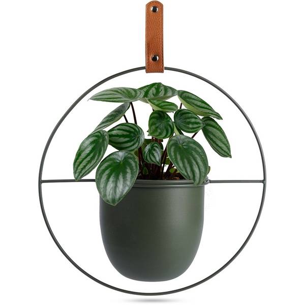 Hängender Blumentopf 569744 kaufen