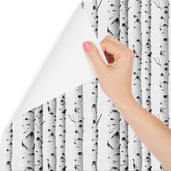 Fototapete BÄUME Birken Pflanzen Natur Schwarz - 405 x 270 x 270 cm