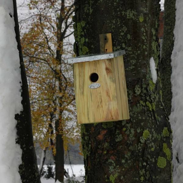 Nichoir mésange bois et zinc Bois massif - 17 x 34 x 20 cm
