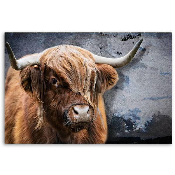 Wandbild schottische kuh tiere natur 60 x 40 cm