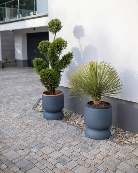 Outdoor Blumentopf ARAUCARIA kaufen