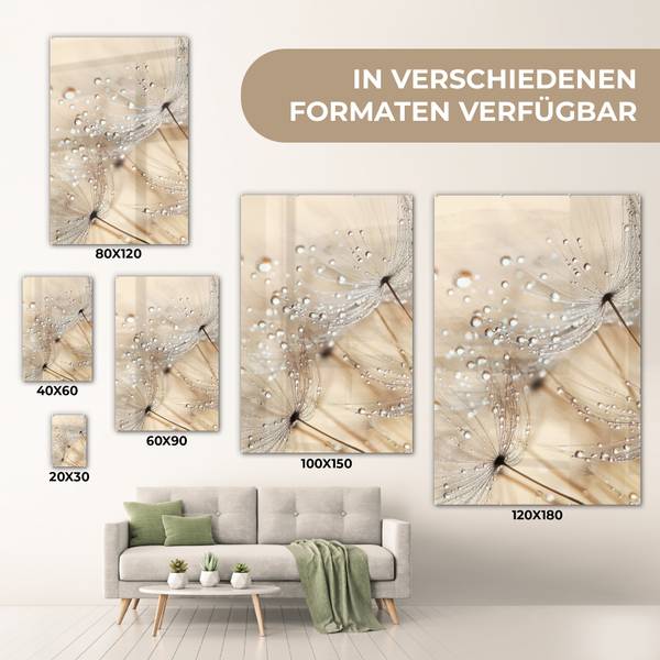ACRYLGLASBILD Löwenzahn 60 x 90 cm