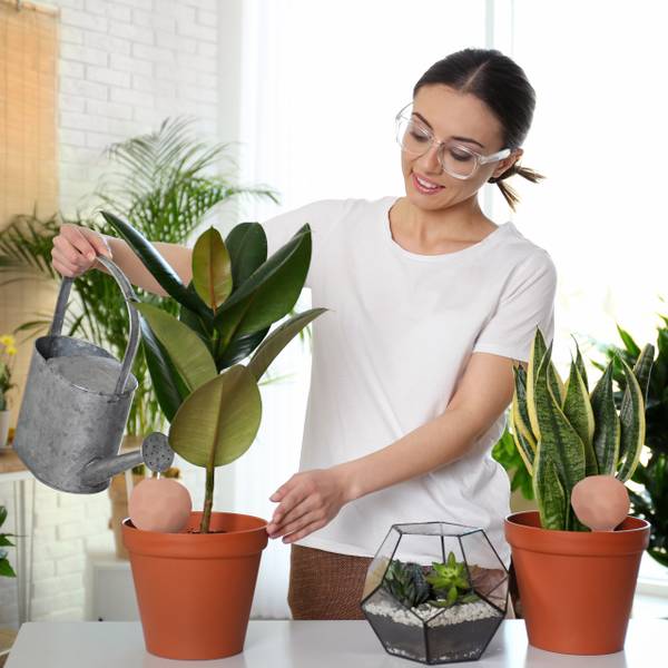 12x Ton Bewässerungskugeln Braun - Keramik - 6 x 11 x 6 cm