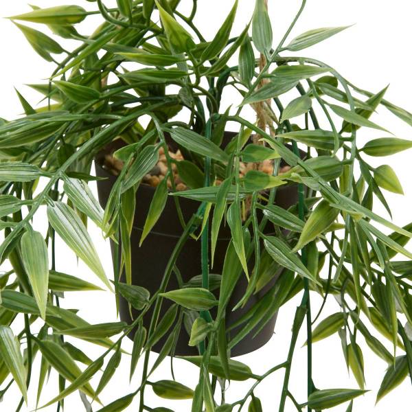 Hängepflanze LIORA Grün - Kunststoff - 21 x 7 x 23 cm